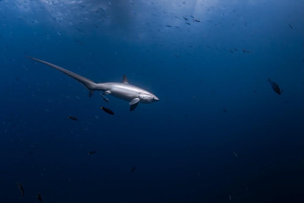 Kimud Shoal