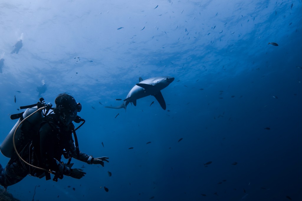 Kimud Shoal